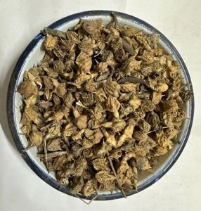 Gokhru Seed