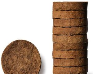 Cow Dung Cake