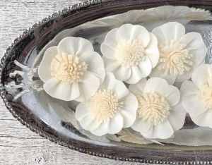 Apple Blossom Sola Wood Flower