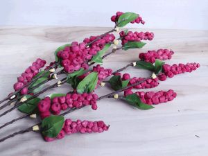 Berry Sola Wood Leaf Flower Stick