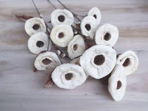 Daisy Corn Rose Sola Wood Flower Stick