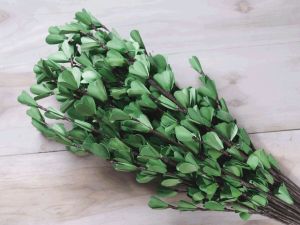Green Lily Sola Wood Flower Stick
