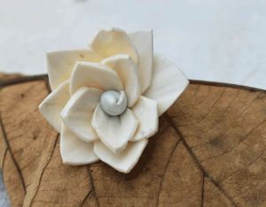 Kalina Sola Wood Flower