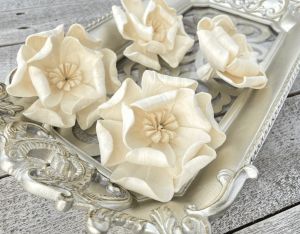 Magnolia Sola Wood Flower