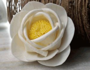 Mustard Rose Sola Wood Flower