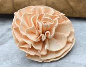 New Dawn Sola Wood Flower