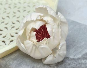 Peony Red Beauty Sola Wood Flower