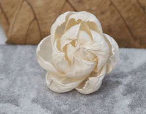 Peony Sola Wood Flower