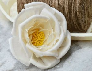 Pollen Bird Rose Sola Wood Flower