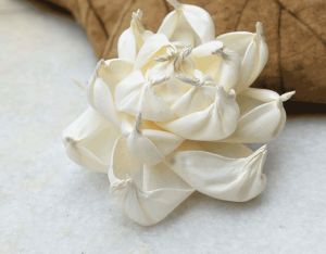 Posie Sola Wood Charming Flower