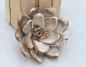 Seena Sola Wood Flower