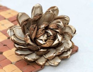 Skin Supernova Sola Wood Flower