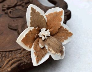 Sky Star Sola Wood Flower
