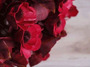 Handmade Sola Wood Raju Flower Stick