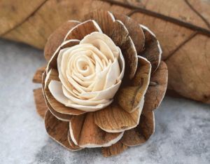 Tecksoi Jarred Sola Wood Flower
