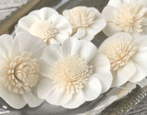 Apple Blossom Sola Wood Flower