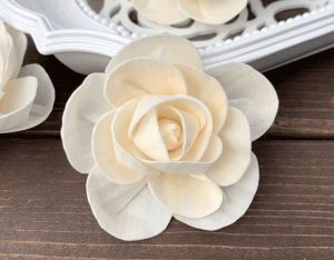 Bonica Sola Wood Flower