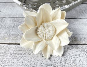 Bruyenia Sola Wood Flower