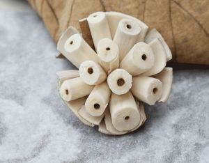 Burl Sola Wood Flower