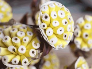 Burl Sola Wood Flower Stick