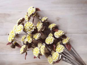 Burl Sola Wood Flower Stick