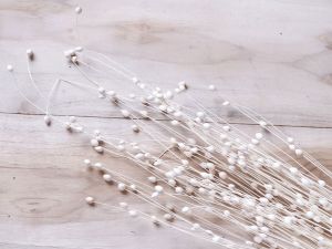 Coco Pearl Filler Sola Stick