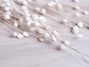 Coco Pearl Filler Sola Stick