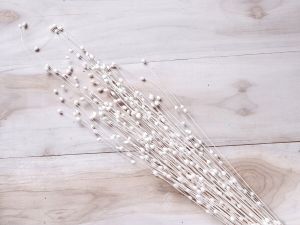 Coco Pearl Filler Sola Stick