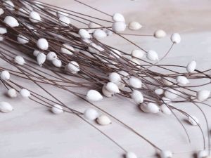 Coco Pearl Filler Sola Wood Flower Stick