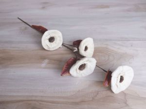 Daisy Corn Rose Sola Wood Flower Stick