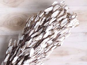 German Blossom Sola Wood Flower Stick