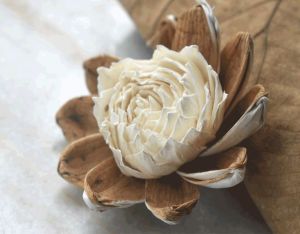 Tecksoi Ivy Sola Wood Flower