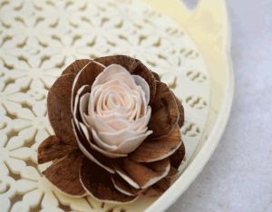 Tecksoi Jarred Sola Wood Flower
