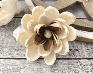 Tecksoi Joie Sola Wood Flower