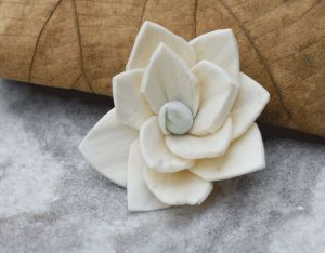 Kalina Sola Wood Flower