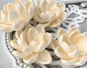 Leo Sola Wood Flower