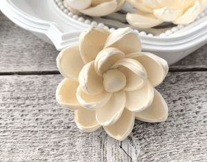 Leo Sola Wood Flower
