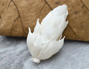 Leilani Pine Sola Wood Flower