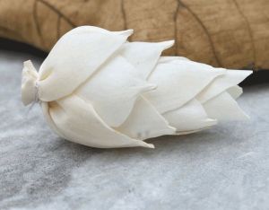 Leilani Pine Sola Wood Flower