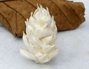 Leilani Pine Sola Wood Flower