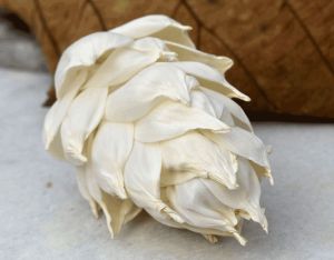 Leilani Pine Sola Wood Flower