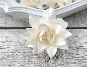 Lily Rose Sola Wood Flower