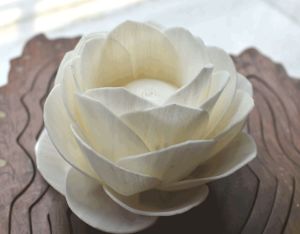 Lotus Sola Wood Flower