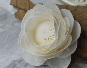 Lotus Sola Wood Flower