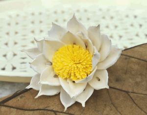 Marguerite Sola Wood Flower Handmade Bloom