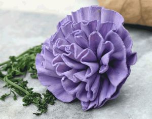 New Dawn Sola Wood Flower