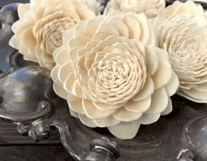 Obsession Sola Wood Flower