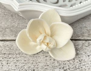 Orchid Sola Wood Flower