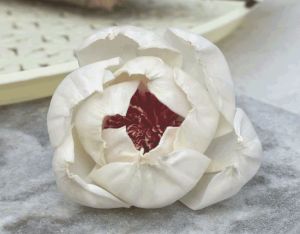 Peony Red Beauty Sola Wood Flower