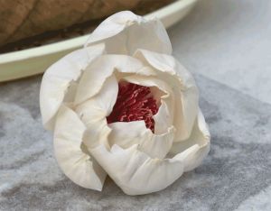 Peony Red Beauty Sola Wood Flower